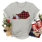 Winter Plaid State Tee